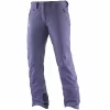 Salomon Iceglory Skihose Daybreak Grey Damen 8